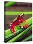 Clown Tree Frog, Native to Surinam, South America-David Northcott-Stretched Canvas