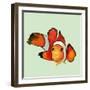 Clownfish-Jacob Q-Framed Art Print