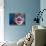 Clowns Face-Clive Nolan-Stretched Canvas displayed on a wall