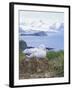 Clsoe-Up of a Wandering Albatross on Nest, Prion Island, South Georgia, Atlantic-Geoff Renner-Framed Photographic Print