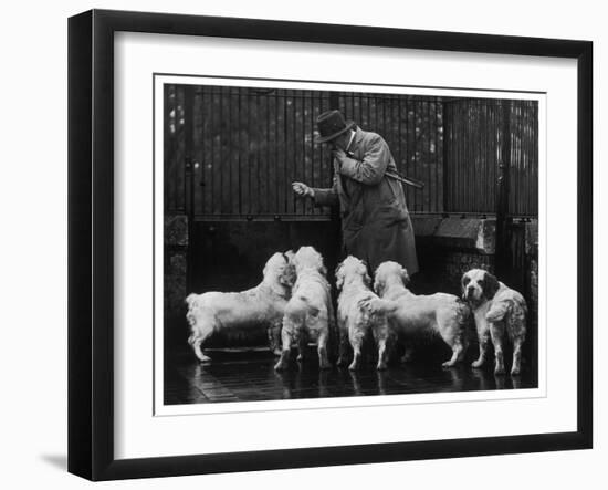 Clumber Spaniel-null-Framed Photographic Print