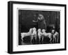 Clumber Spaniel-null-Framed Photographic Print