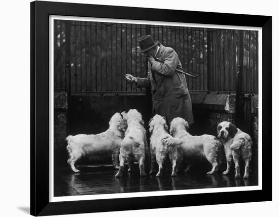 Clumber Spaniel-null-Framed Photographic Print