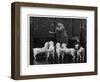 Clumber Spaniel-null-Framed Photographic Print