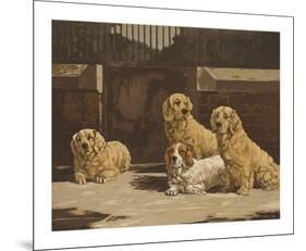 Clumbers-Reuben Ward Binks-Mounted Premium Giclee Print