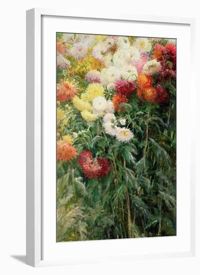 Clump of Chrysanthemums, Garden at Petit Gennevilliers, 1893-Gustave Caillebotte-Framed Giclee Print