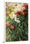Clump of Chrysanthemums, Garden at Petit Gennevilliers, 1893-Gustave Caillebotte-Framed Giclee Print