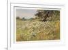 Clump of Wild Daisies in a Spring Meadow-Berenger Benger-Framed Premium Giclee Print