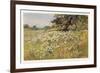 Clump of Wild Daisies in a Spring Meadow-Berenger Benger-Framed Premium Giclee Print