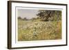 Clump of Wild Daisies in a Spring Meadow-Berenger Benger-Framed Art Print