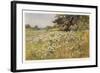 Clump of Wild Daisies in a Spring Meadow-Berenger Benger-Framed Art Print