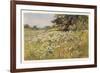 Clump of Wild Daisies in a Spring Meadow-Berenger Benger-Framed Art Print