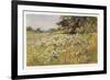 Clump of Wild Daisies in a Spring Meadow-Berenger Benger-Framed Art Print