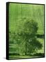 Clun Valley, Shropshire, England, United Kingdom, Europe-Woolfitt Adam-Framed Stretched Canvas