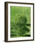 Clun Valley, Shropshire, England, United Kingdom, Europe-Woolfitt Adam-Framed Photographic Print