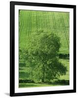 Clun Valley, Shropshire, England, United Kingdom, Europe-Woolfitt Adam-Framed Photographic Print