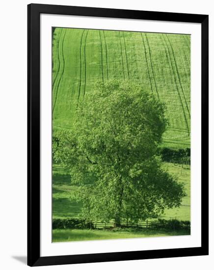 Clun Valley, Shropshire, England, United Kingdom, Europe-Woolfitt Adam-Framed Photographic Print