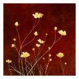 Flores en el Campo II-Clunia-Art Print