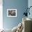 Cluster of Cape Fur Seal, Elands Bay, Western Cape Province, South Africa-James Hager-Framed Photographic Print displayed on a wall