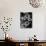 Cluster of Daisies-Bettmann-Photographic Print displayed on a wall