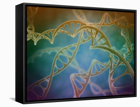 Cluster of DNA Strands-Stocktrek Images-Framed Stretched Canvas