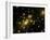 Cluster of Galaxies, Abell 2218, in Constellation Draco from Hubble Space Telescope-Andrew Fruchter-Framed Photographic Print