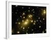 Cluster of Galaxies, Abell 2218, in Constellation Draco from Hubble Space Telescope-Andrew Fruchter-Framed Photographic Print