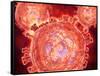 Cluster of Hiv Virus-null-Framed Stretched Canvas