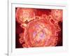 Cluster of Hiv Virus-null-Framed Art Print