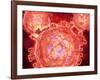 Cluster of Hiv Virus-null-Framed Art Print