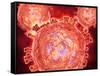 Cluster of Hiv Virus-null-Framed Stretched Canvas