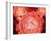 Cluster of Hiv Virus-null-Framed Art Print