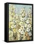 Cluster of Hollyhock I-Tim O'toole-Framed Stretched Canvas