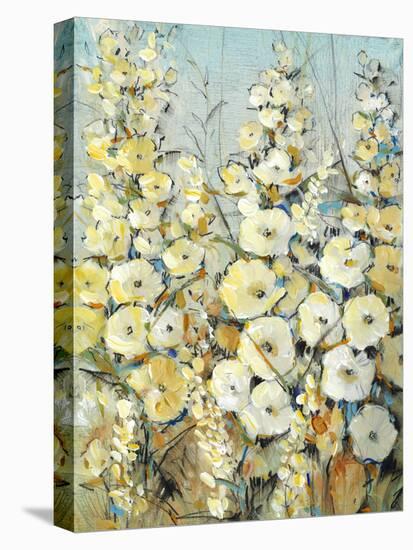 Cluster of Hollyhock I-Tim O'toole-Stretched Canvas