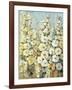 Cluster of Hollyhock I-Tim O'toole-Framed Art Print