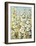 Cluster of Hollyhock I-Tim O'toole-Framed Art Print