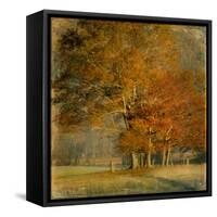 Cluster of Oaks-Danny Head-Framed Stretched Canvas