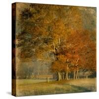 Cluster of Oaks-Danny Head-Stretched Canvas