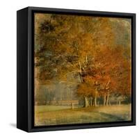 Cluster of Oaks-Danny Head-Framed Stretched Canvas