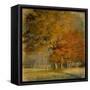 Cluster of Oaks-Danny Head-Framed Stretched Canvas