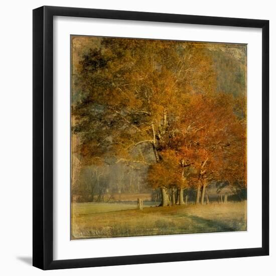 Cluster of Oaks-Danny Head-Framed Art Print