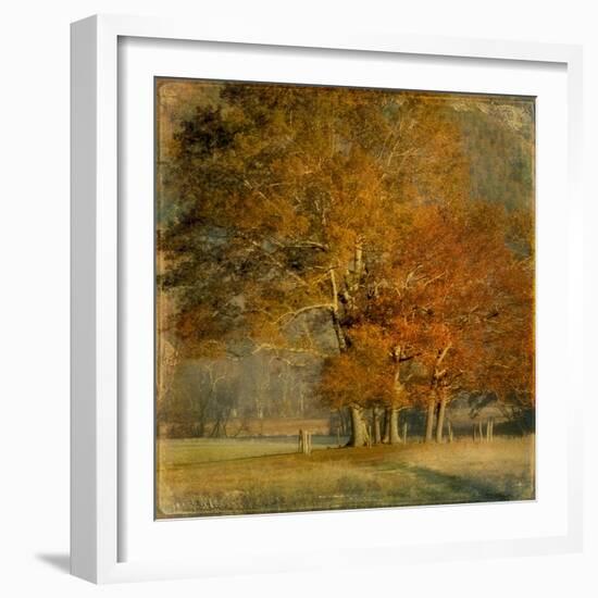 Cluster of Oaks-Danny Head-Framed Art Print