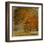 Cluster of Oaks-Danny Head-Framed Art Print