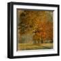 Cluster of Oaks-Danny Head-Framed Art Print