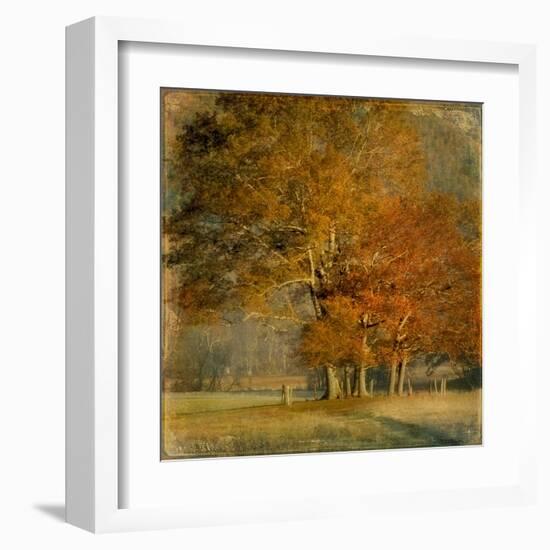 Cluster of Oaks-Danny Head-Framed Art Print