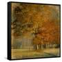 Cluster of Oaks-Danny Head-Framed Stretched Canvas