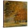 Cluster of Oaks-Danny Head-Stretched Canvas