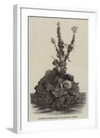 Cluster of Oysters from the Beds of St Brieux-null-Framed Giclee Print