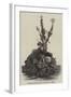 Cluster of Oysters from the Beds of St Brieux-null-Framed Giclee Print