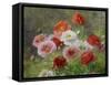 Cluster of Poppies, 1884-Louis Marie Lemaire-Framed Stretched Canvas